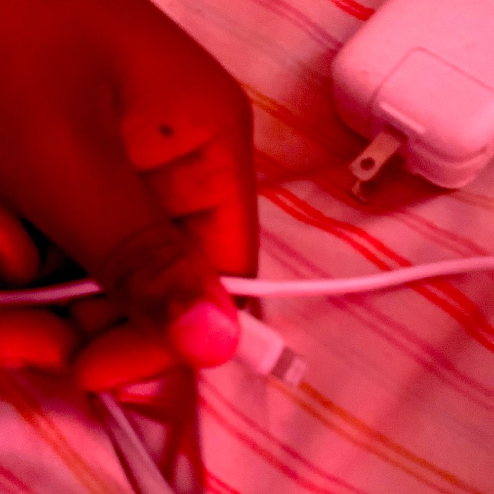 iPhone charger